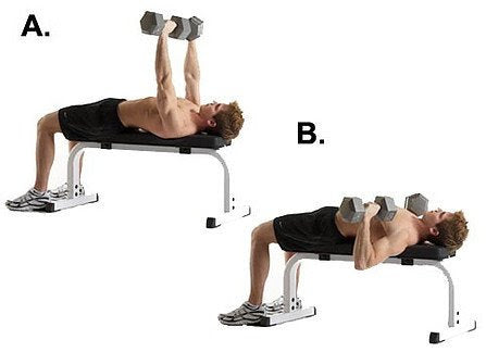 Learn the Dumbbell Bench Press