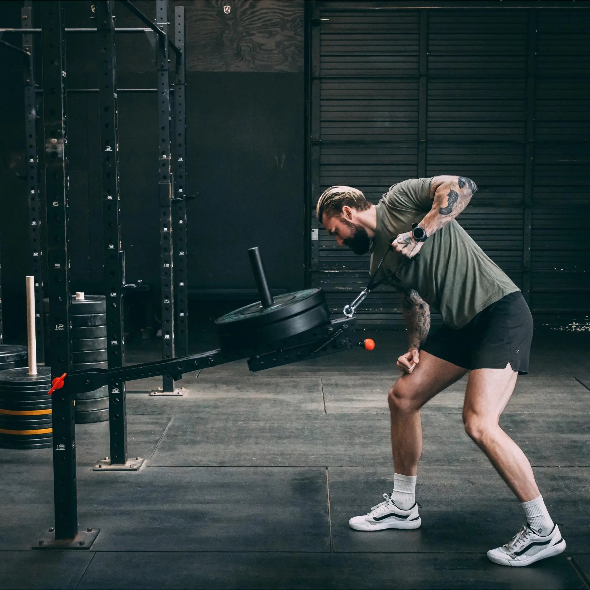 Free squats online