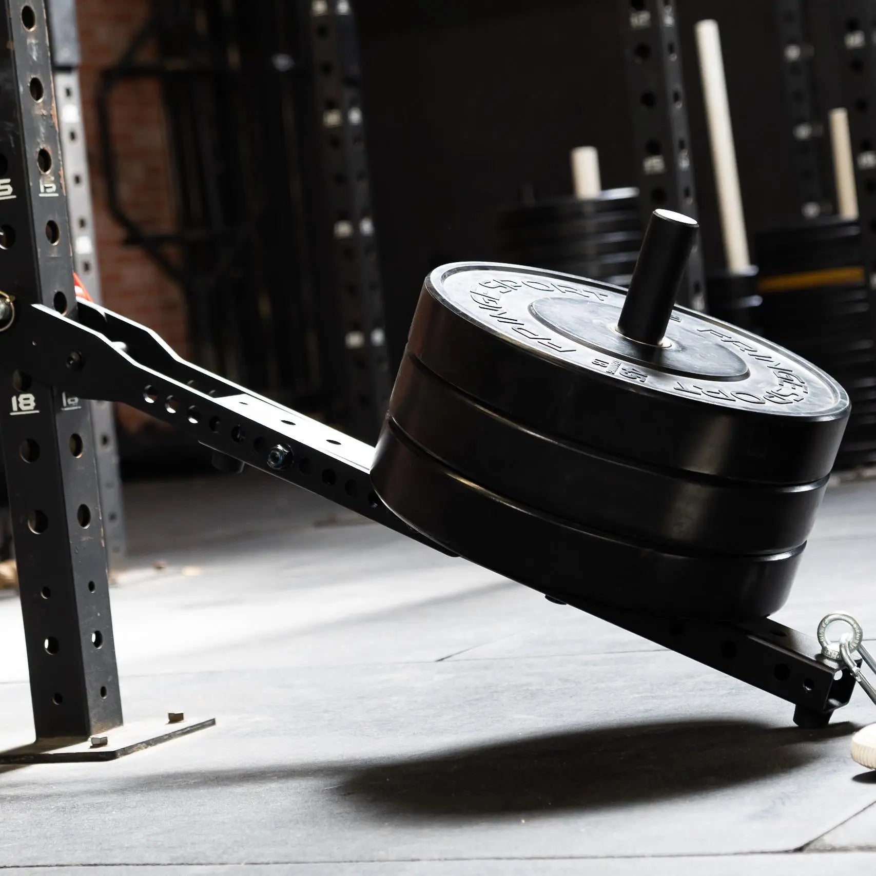 Mammoth Belt Squat With Free Belt Fringe Sport